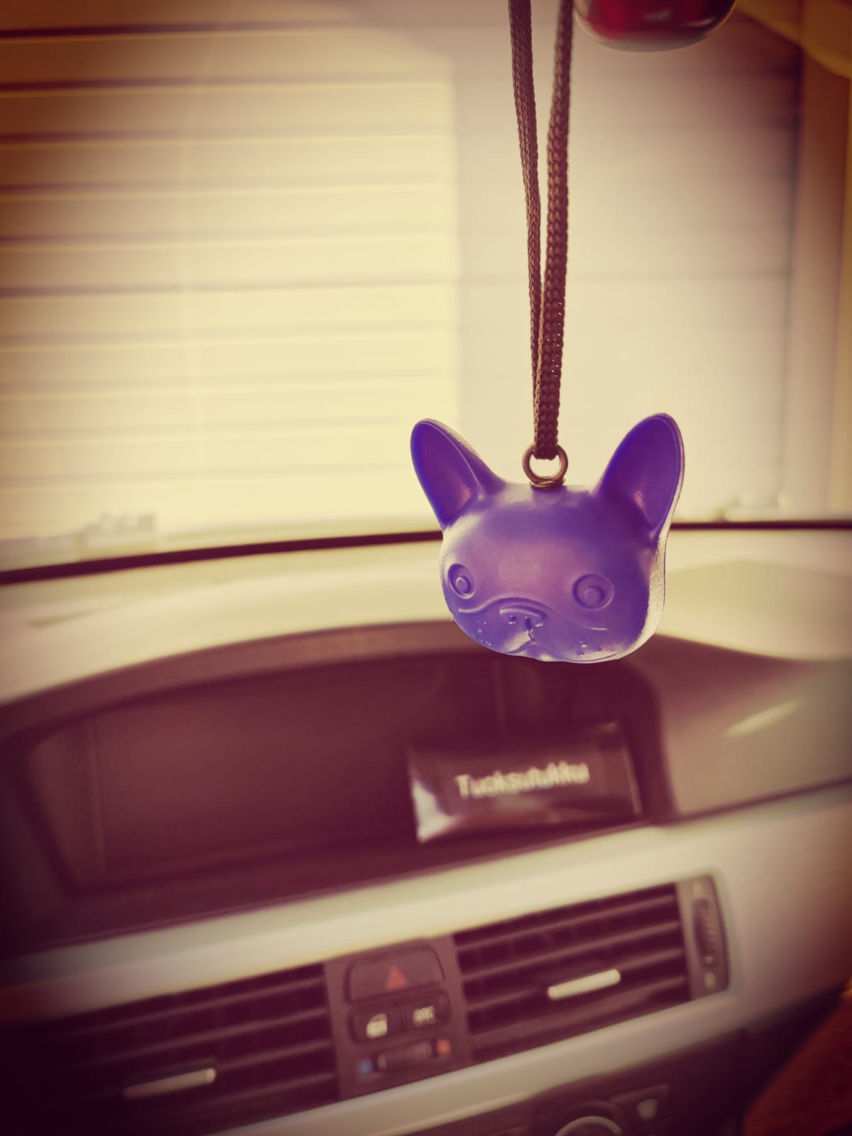 đŸ Söpö tuoksukoira New Car