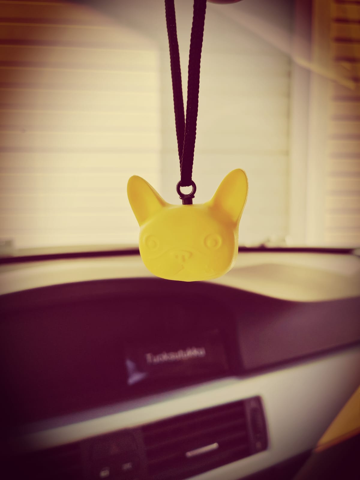 🐾 Söpö tuoksukoira Vanilla