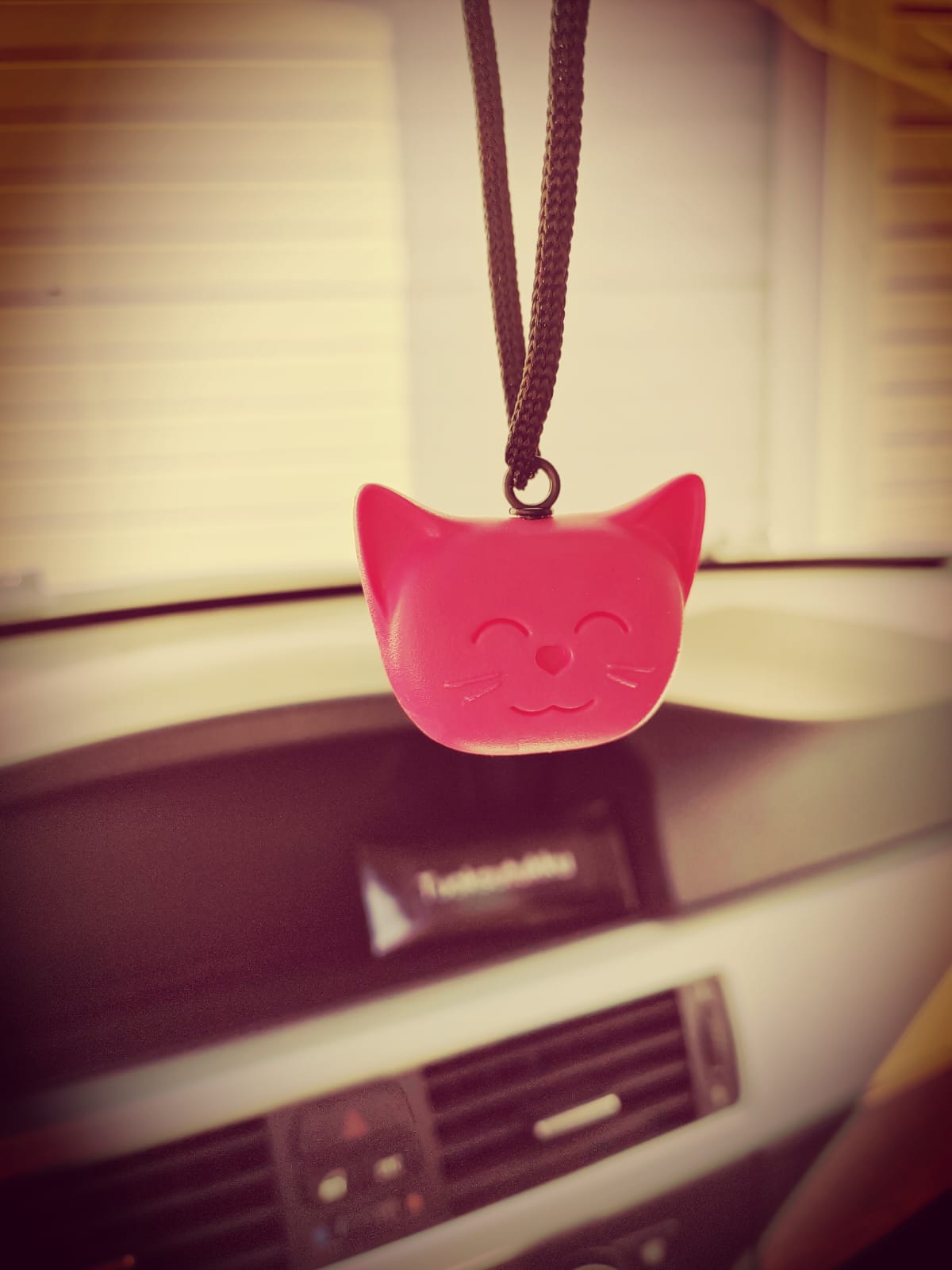 😻 Hellyyttävä tuoksukissa Bubble gum